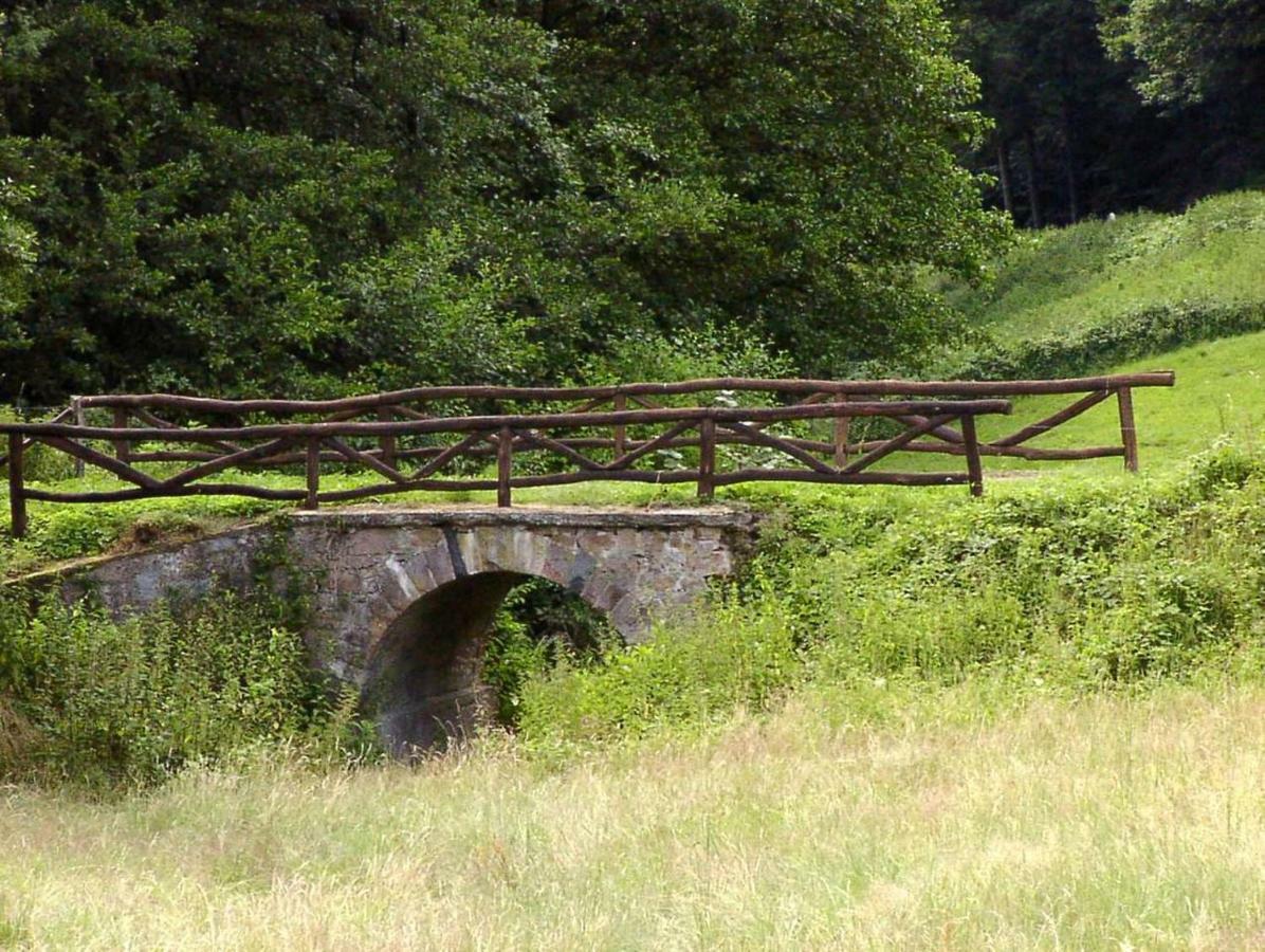 Waldblick Appartement Ober-Hambach Eksteriør bilde