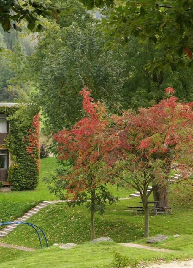 Waldblick Appartement Ober-Hambach Eksteriør bilde