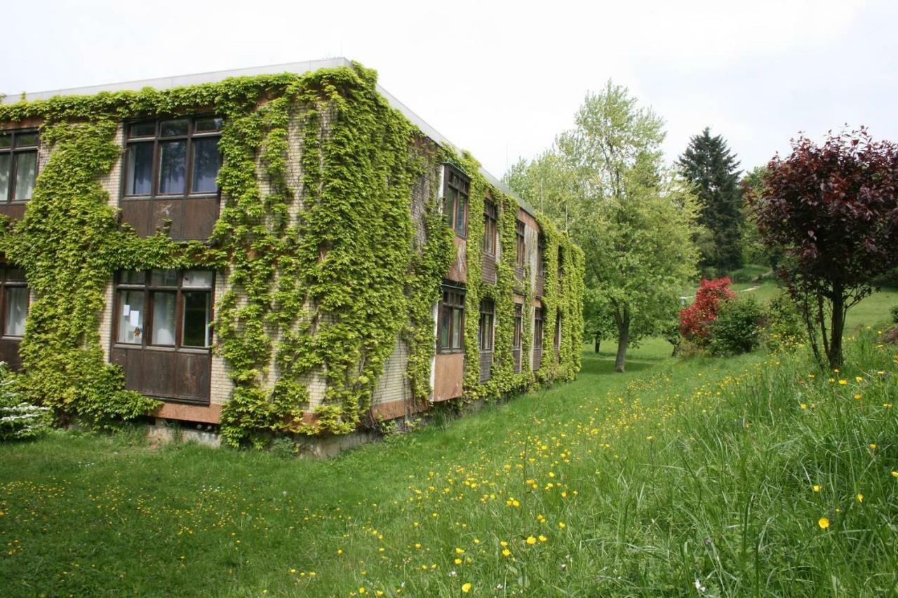Waldblick Appartement Ober-Hambach Eksteriør bilde